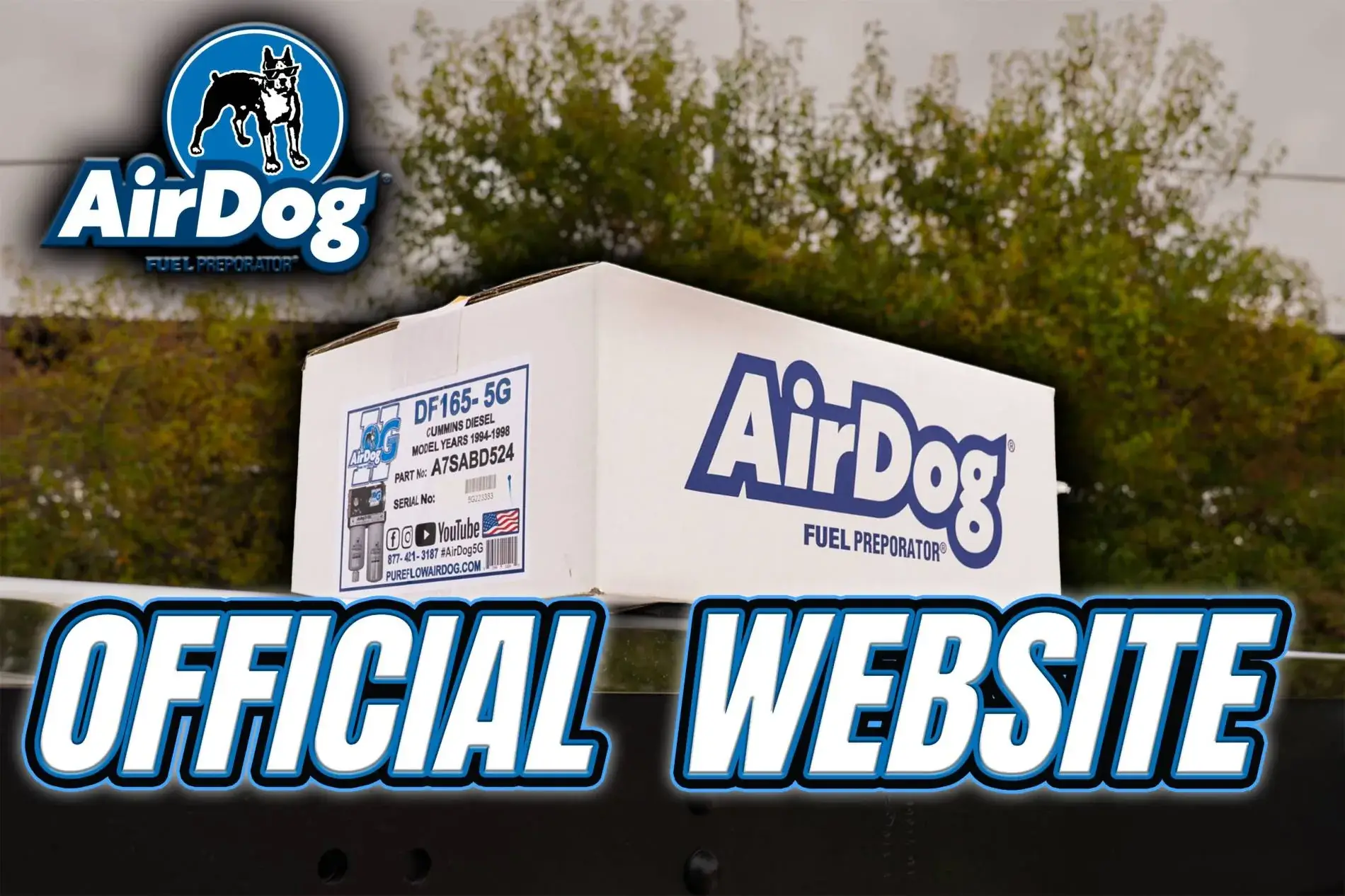 Official Website